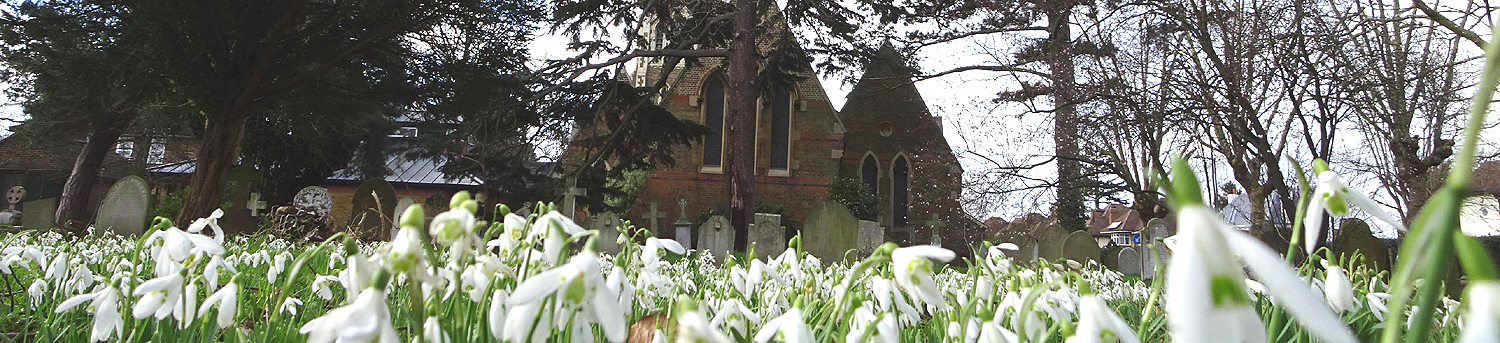 The church and churchyard in the spring
