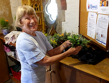 Arranging the flowers