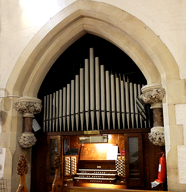 The organ