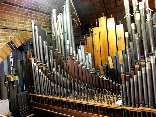 Organ