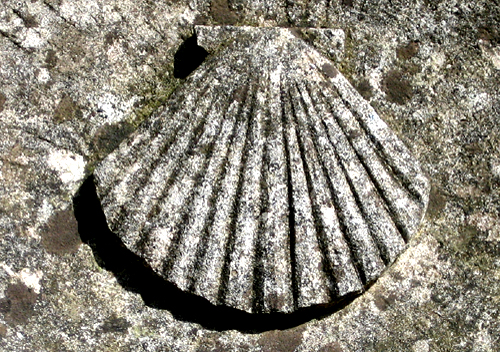 Shell